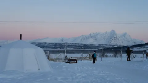 Reindeer Feeding and Sami Culture with Lunch