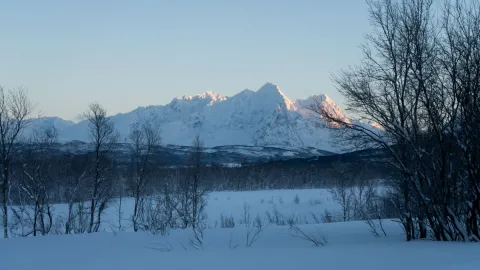 Reindeer Sledding, Reindeer Feeding and Sami Culture - Tromsø Lapland