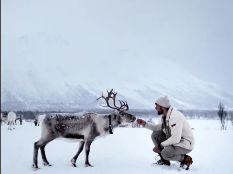 Reindeer Sledding, Reindeer Feeding and Sami Culture with Lunch