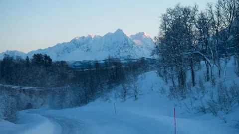 Reindeer Sledding, Reindeer Feeding and Sami Culture - Tromsø Lapland