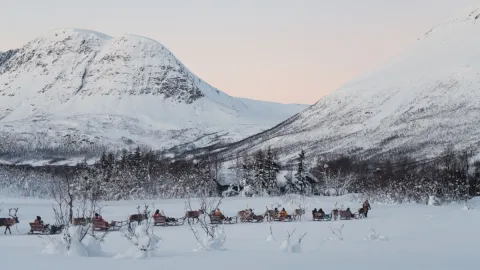 Reindeer Sledding, Reindeer Feeding and Sami Culture - Tromsø Lapland