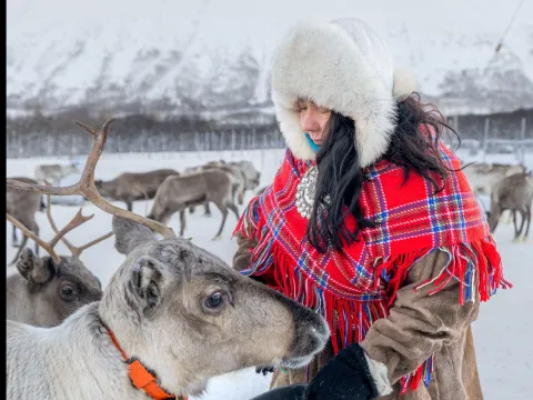 Reindeer Feeding and Sami Culture with Lunch