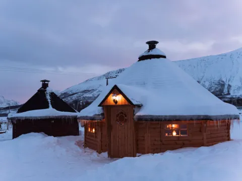 Reindeer Sledding, Reindeer Feeding and Sami Culture with Lunch