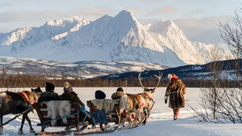 Reindeer Sledding, Reindeer Feeding and Sami Culture with Lunch