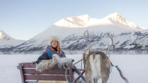 Reindeer Sledding, Reindeer Feeding and Sami Culture with Lunch
