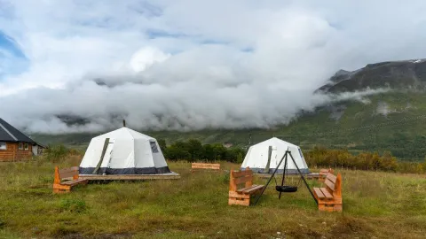 Reindeer Feeding and Sami Culture with Lunch in Autumn - 1pm departure