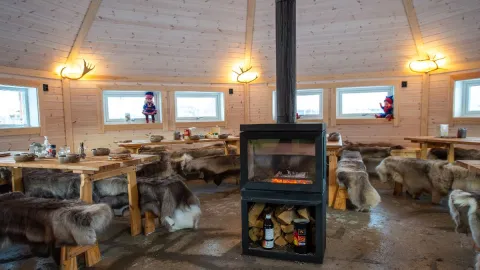Reindeer Feeding and Sami Culture with Lunch in Autumn - 1pm departure