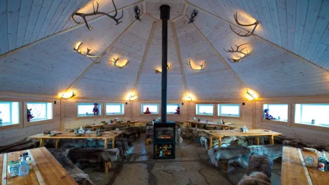Reindeer Feeding and Sami Culture with Lunch in Autumn - 1pm departure