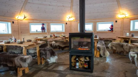 Reindeer Feeding and Sami Culture with Lunch in Autumn
