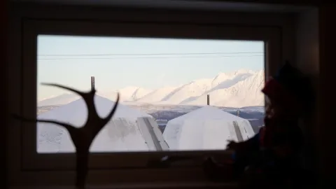 Reindeer Feeding and Sami Culture with Lunch in Autumn