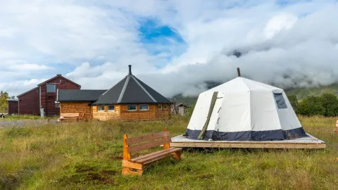 Reindeer Feeding and Sami Culture with Lunch in Autumn