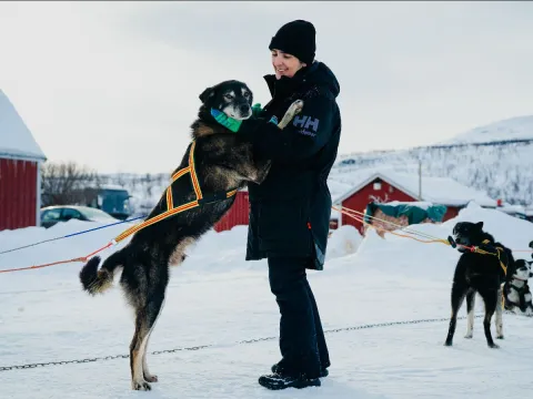 Activenorth - Hundekjøring i arktisk natur med lunsj først 