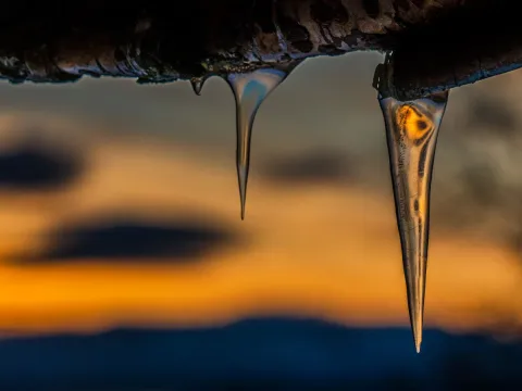 Eksklusiv foto vandring i Lyngen: Fang den nordnorske naturen med en profesjonell fotograf