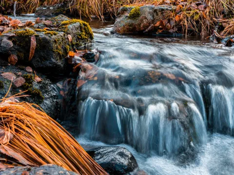 Eksklusiv foto vandring i Lyngen: Fang den nordnorske naturen med en profesjonell fotograf