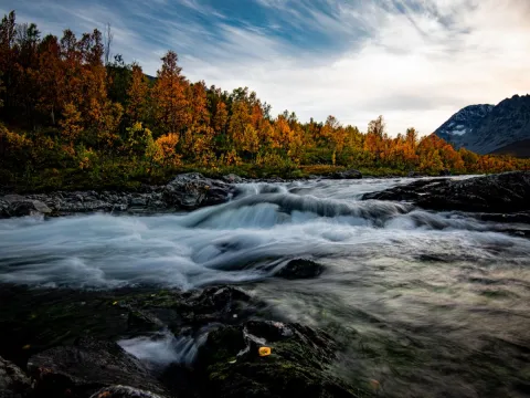 Eksklusiv foto vandring i Lyngen: Fang den nordnorske naturen med en profesjonell fotograf