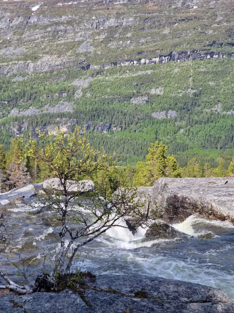 Husky vandring til Sarafossen - Horisont Husky