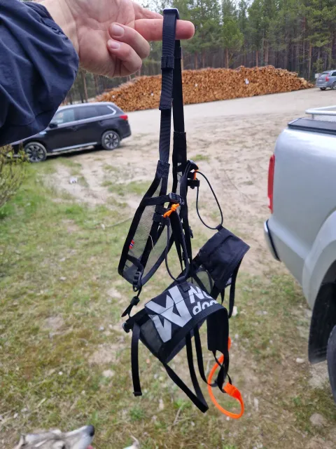 Husky vandring til Sarafossen - Horisont Husky
