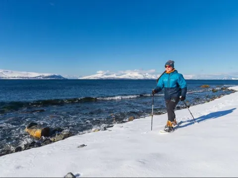From Mountain to Sea in the Lyngen Alps - Lyngen Experience