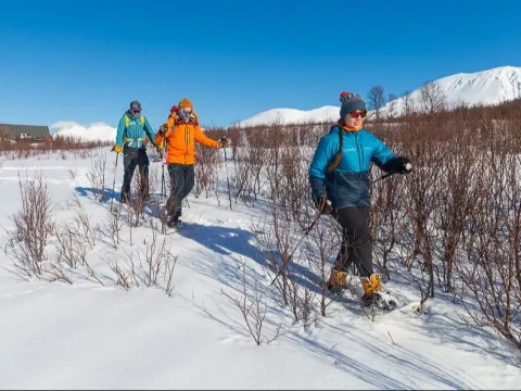 From Mountain to Sea in the Lyngen Alps - Lyngen Experience