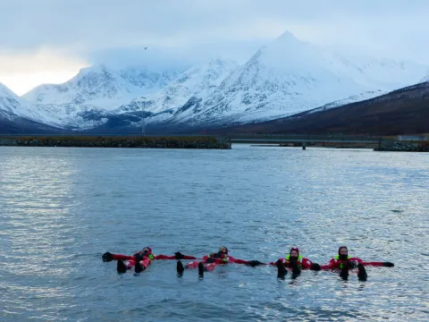 From Mountain to Sea in the Lyngen Alps - Lyngen Experience
