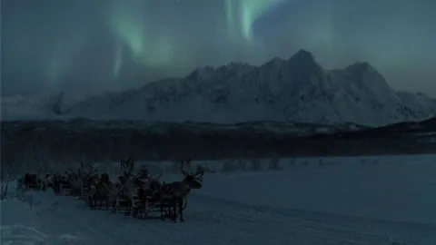 Reindeer Feeding and Sami Culture with a Chance of Northern Lights with Dinner