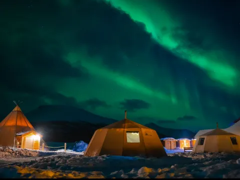 Reindeer Sledding, Reindeer Feeding and Sami Culture with a Chance of Northern Lights with Dinner