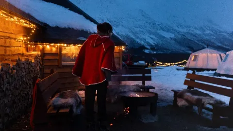 Reindeer Feeding and Sami Culture with a Chance of Northern Lights with Dinner