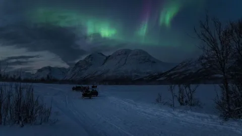 Reindeer Sledding, Reindeer Feeding and Sami Culture with a Chance of Northern Lights with Dinner