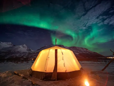 Reindeer Feeding and Sami Culture with a Chance of Northern Lights with Dinner