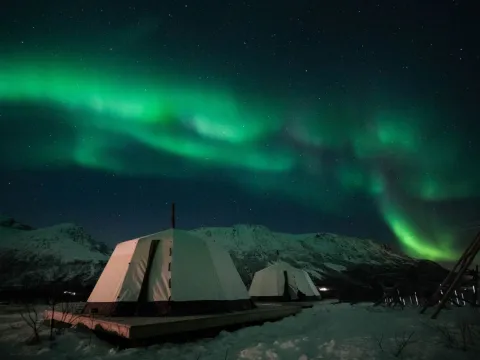 Reindeer Feeding and Sami Culture with a Chance of Northern Lights with Dinner