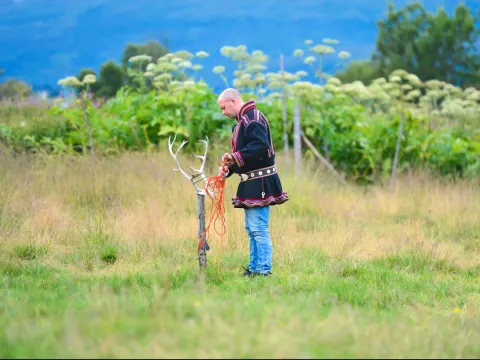 Reindeer Feeding and Sami Culture with Lunch in Autumn - 1pm departure - Tromsø Lapland