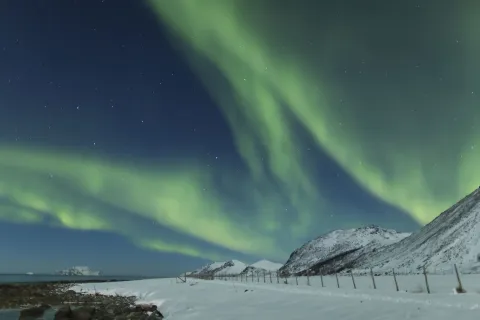 Lyngen Experience Activity Hub