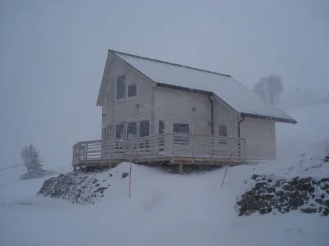Lyngen Fjordbuer