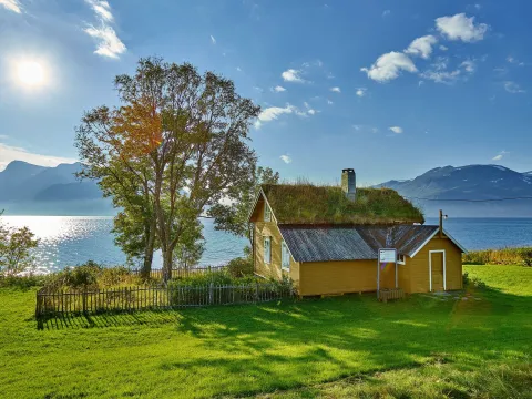 Eldre gult hus med torv på taket, til venstre for huset et stort tre. Foran i bildet nyklipt gress og bak blå himmel og sol.