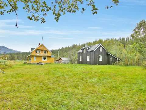 A yellow house and a brown smaller house next to each other. In the foreground green grass and in the back forest and blue sky
