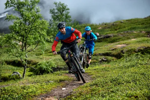 Stisykkelbrosjyre - Lyngenfjordregionen