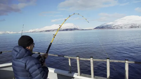 Guidet fisketur eller båtsightseeing med Koppangen Brygger