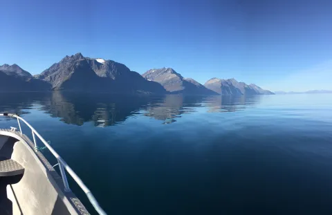 Guidet fisketur eller båtsightseeing med Koppangen Brygger