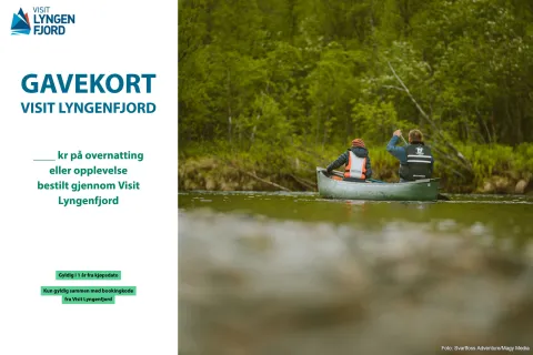 Gavekort til bruk på overnatting eller aktivitet i Lyngenfjordregionen