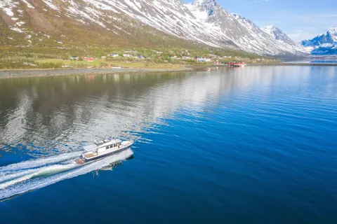 Lyngen Experience