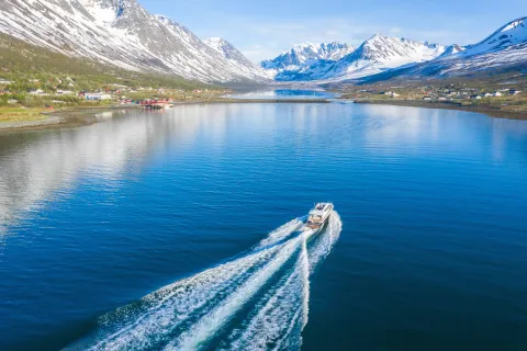 Dronebilde tatt av en båt på tur inn en fjord. Bildet er tatt på en solrik dag og i bakgrunnen ser vi fjell med snø på toppene og grønt langs fjorden.