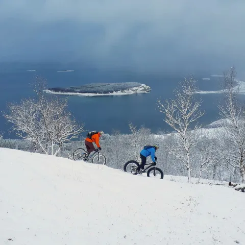 Fatbike tour in wintertime