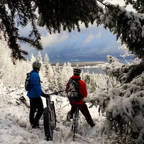 Guidet fatbiketur i Lyngen