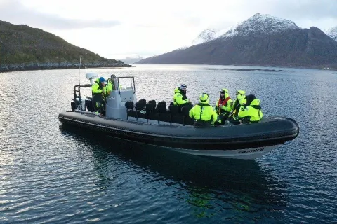 Hvalsafari fra Skjervøy - Reisafjord Xperience