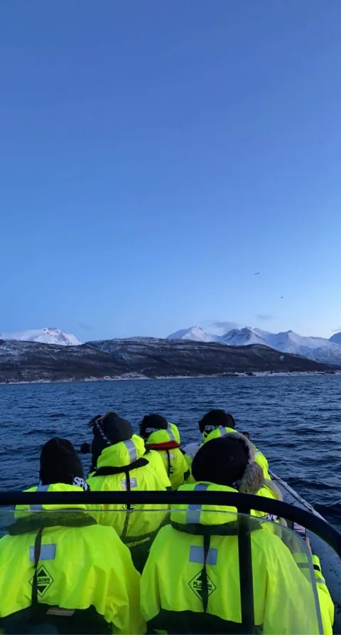 Hvalsafari fra Skjervøy - Reisafjord Xperience