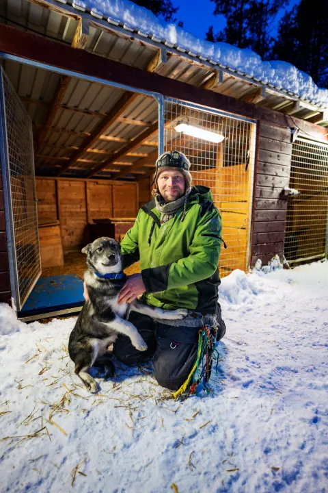 Hundekjøring i Reisadalen