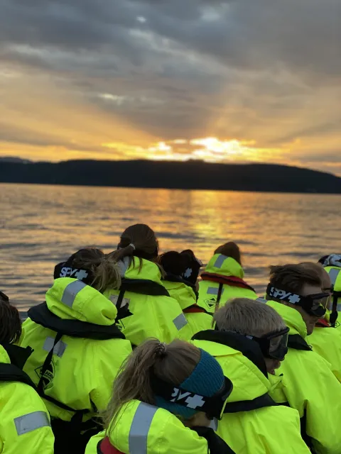 Midnight sun RIB tour safari in Reisafjorden