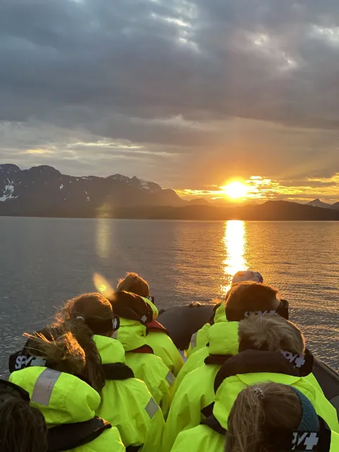 Midnight sun RIB tour safari in Reisafjorden