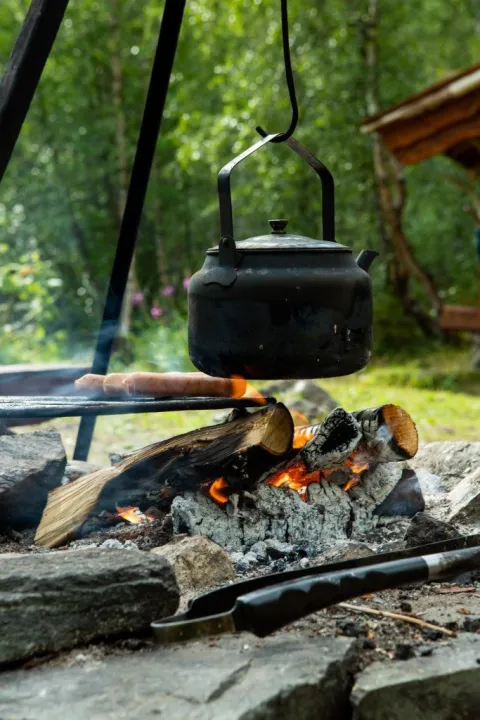 Elvebåtsafari til Mollisfossen - Reisa Nasjonalpark