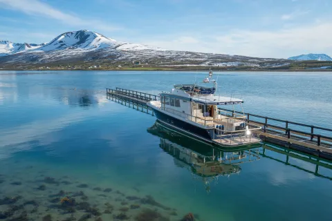 Tromsø by boat - Lyngen Experience